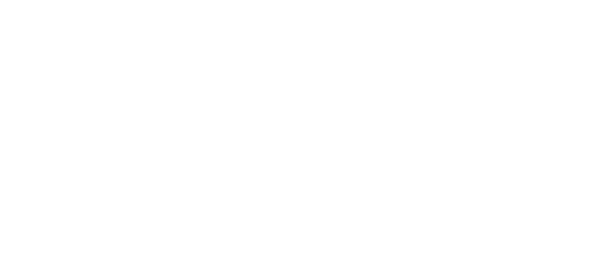 Instituto Voice